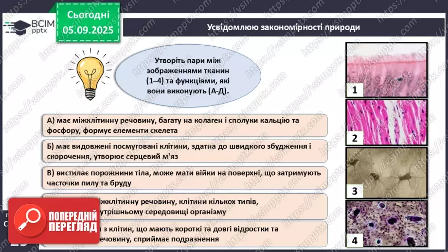 №007 - Узагальнення і систематизація вивченого з теми: «Організм людини як біологічна система».7 №007 - Узагальнення і систематизація вивченого з теми: «Організм людини як біологічна система».7
