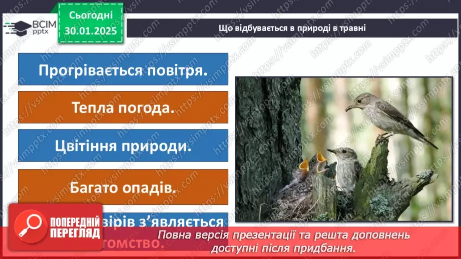 №0063 - Як упізнати весну. Правила поведінки під час грози.17