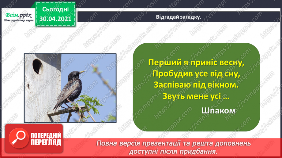 №109 - Розвиток зв’язного мовлення. Переказую текст. Дружні шпаки (За Наталею Забілою)6