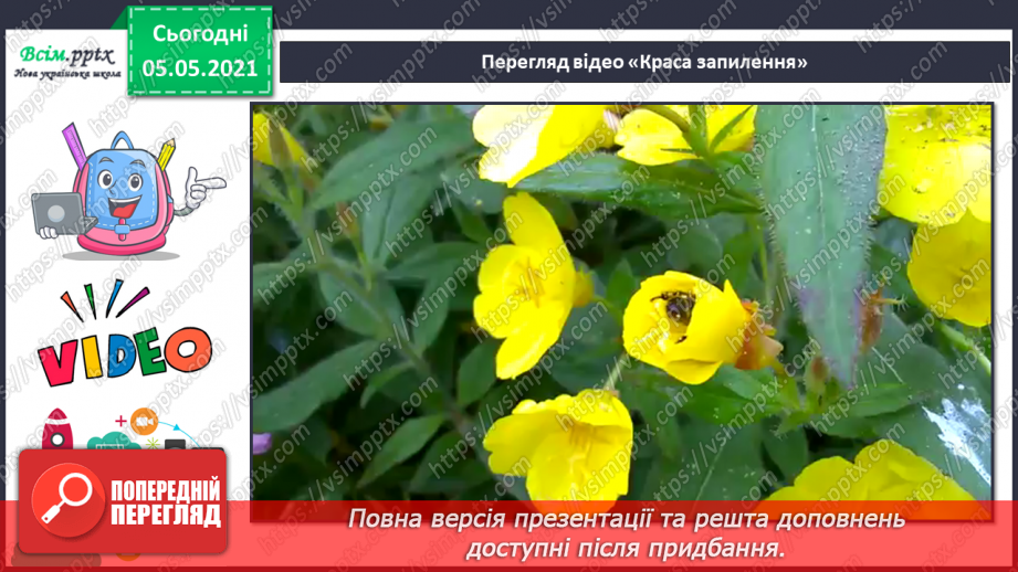 №036 - Квіткові рослини.9