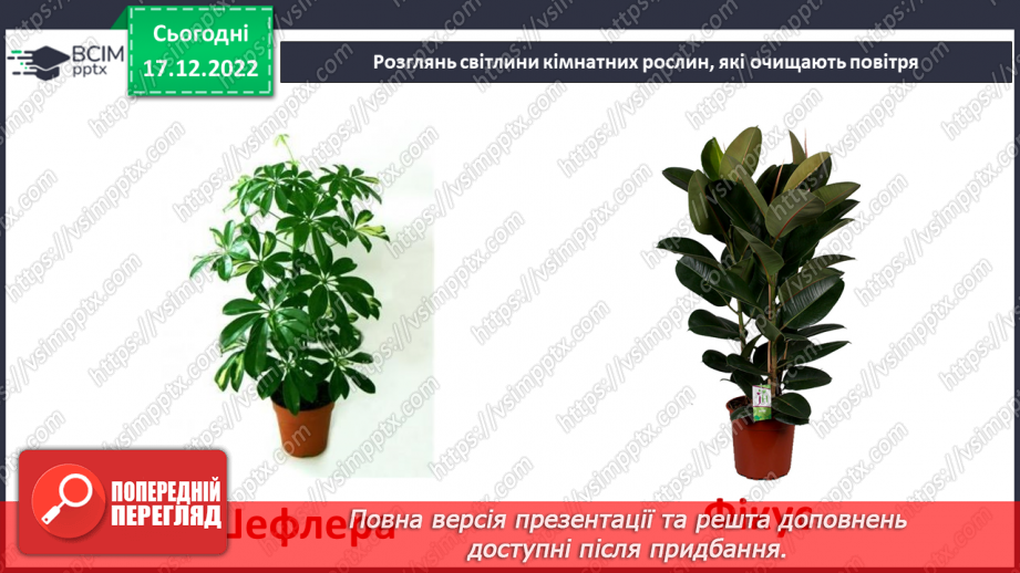 №35 - Ґрунтове повітря та його склад. Чому повітря потребує охорони. Небезпечні природні явища.26