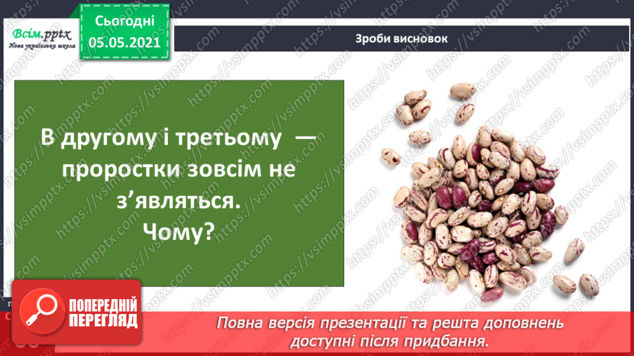 №035 - Сторінка дослідників. Як виростити нову рослину. Умови проростання насіння14 №035 - Сторінка дослідників. Як виростити нову рослину. Умови проростання насіння14