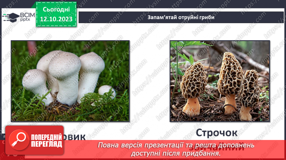 №024 - Осінь - грибна пора20 №024 - Осінь - грибна пора20