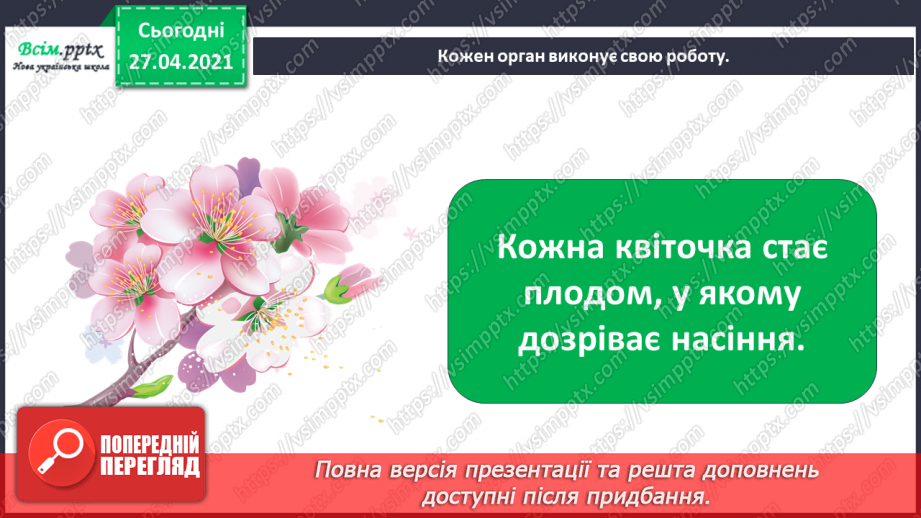 №011 - 012 - Якими бувають рослини? Як розрізняють рослини? Проводимо дослідження. Які умови потрібні рослинам для життя?11