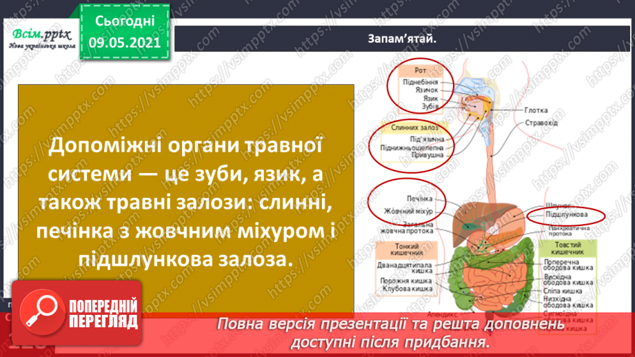 №088 - Які органи допомагають людині перетравлювати їжу?10