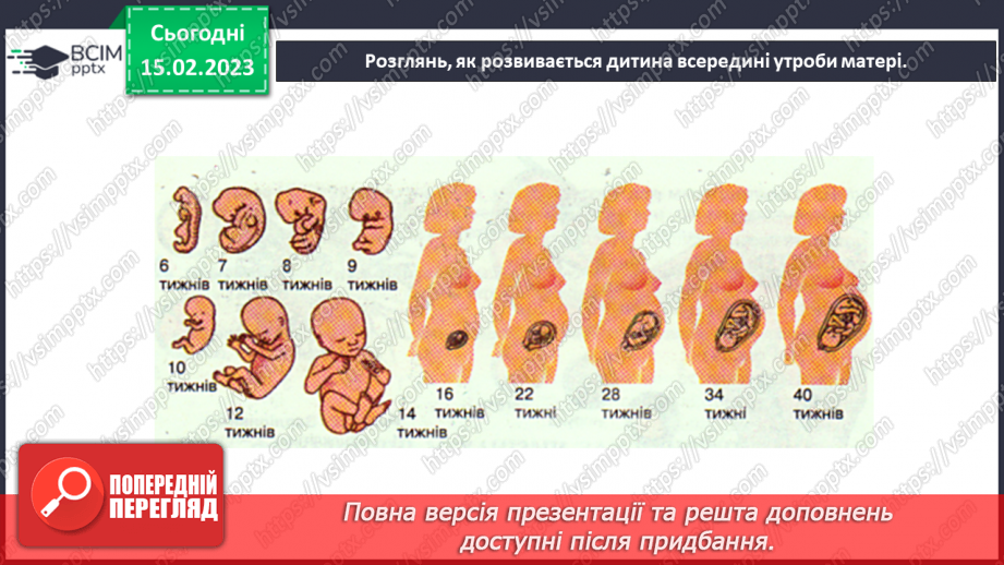 №070 - Розвиток людини. Музей людського тіла8 №070 - Розвиток людини. Музей людського тіла8