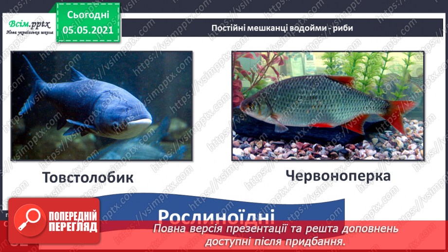 №052 - Природне угруповання — прісна водойма.21