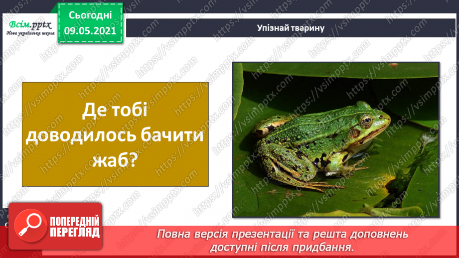 №064 - Чому земноводні мають таку назву?6 №064 - Чому земноводні мають таку назву?6