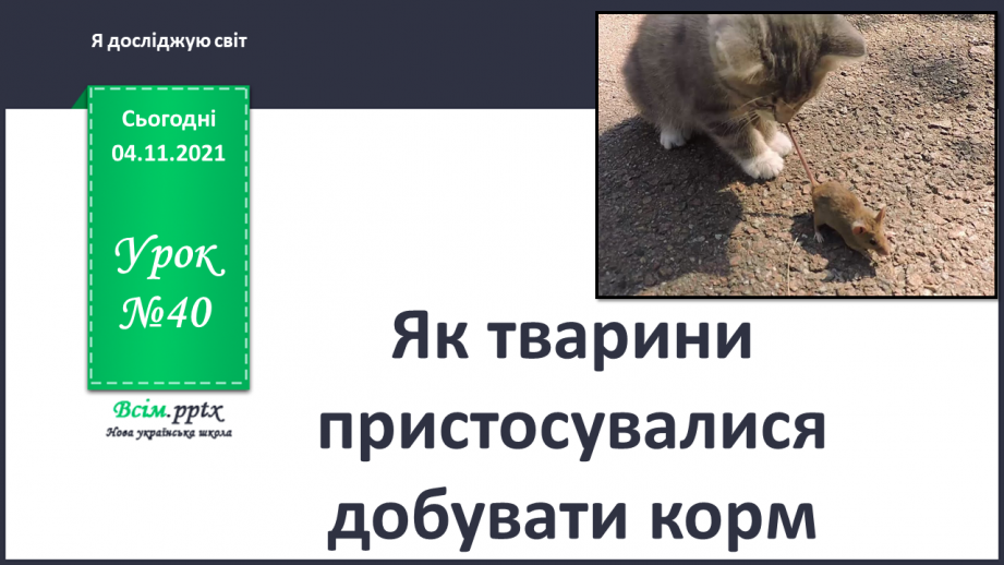 №040 - Як тварини пристосувалися добувати корм0 №040 - Як тварини пристосувалися добувати корм0