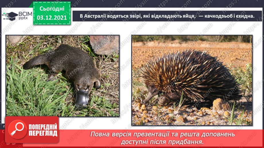 №043 - Материки Землі. Особливості природи материків13 №043 - Материки Землі. Особливості природи материків13