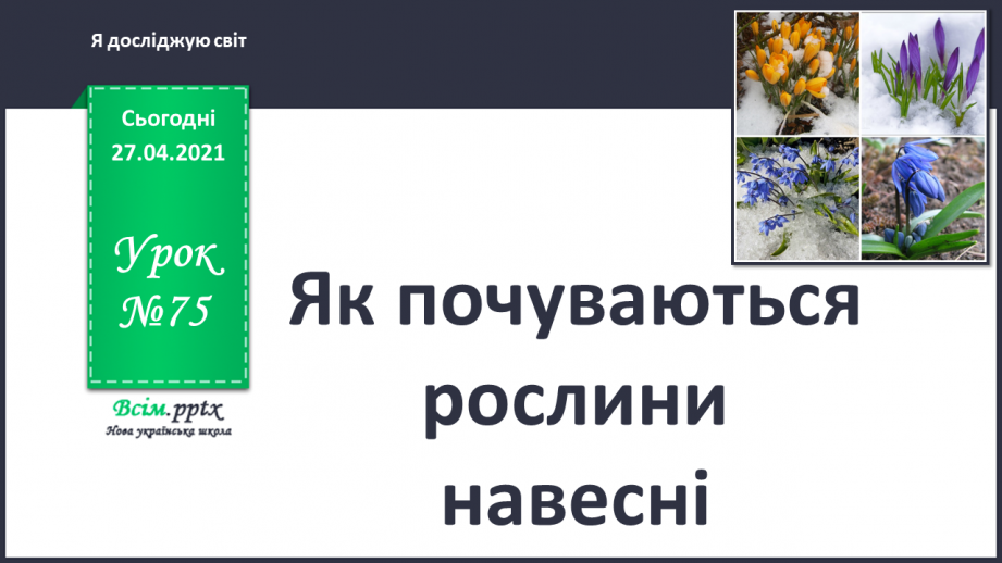 №075 - Як почуваються рослини навесні?0 №075 - Як почуваються рослини навесні?0