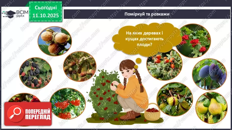 №022 - Спостерігаємо за осінніми явищами в природі.14 №022 - Спостерігаємо за осінніми явищами в природі.14