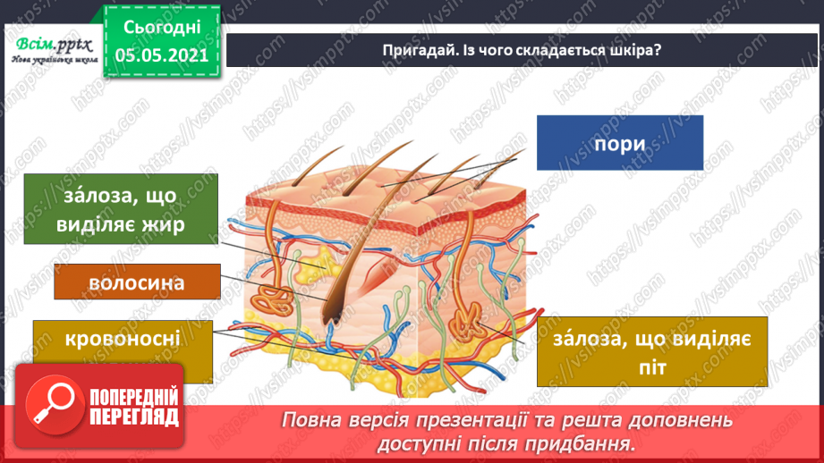 №063 - Узагальнення і систематизація знань учнів. Діагностична робота. Тема: « Дбаю про своє здоров’я. Шкіра. Скелет. М’язи.»6