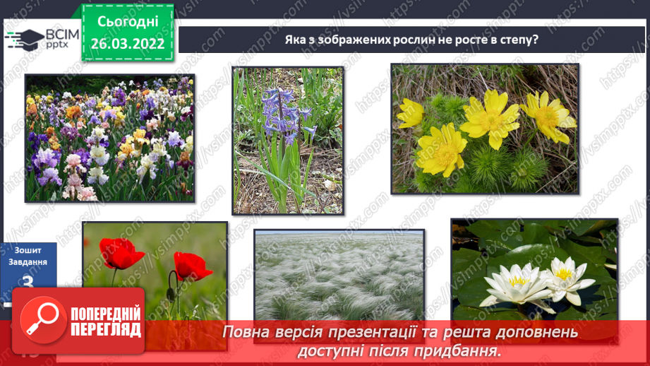 №080 - Лісостеп. Степ24 №080 - Лісостеп. Степ24