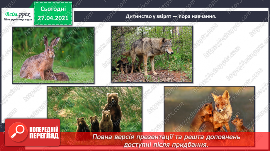 №088-89 - Які турботи приносить весна звірам?20