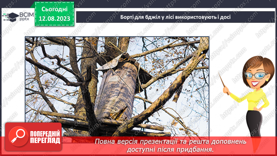 №42 - Ліс як джерело їжі (гриби, ягоди, мед тощо).16