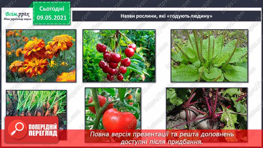 №053 - На які групи поділяють культурні рослини?18 №053 - На які групи поділяють культурні рослини?18
