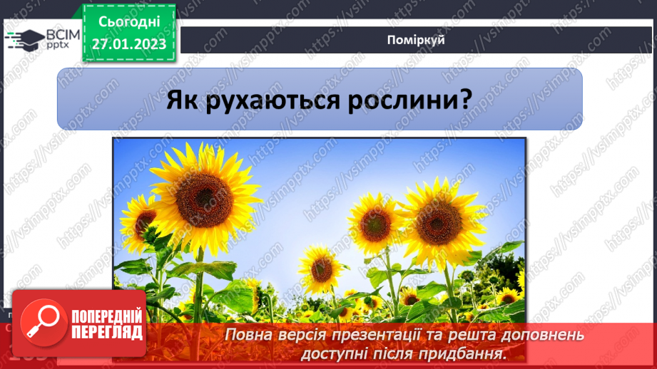 №42 - Досліджуємо опору ц рух тварин і рослин. Рух рослин до сонця.24