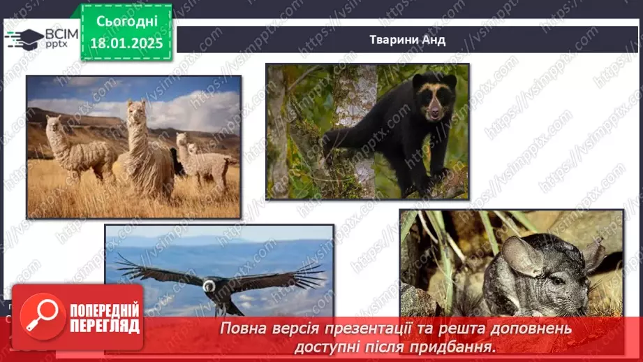 №37 - У чому особливість природних зон Південної Америки.27
