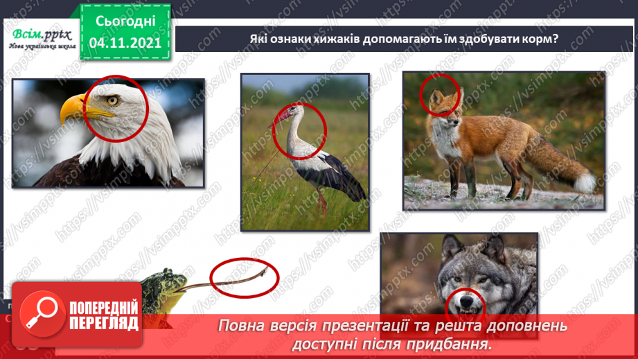 №040 - Як тварини пристосувалися добувати корм16 №040 - Як тварини пристосувалися добувати корм16