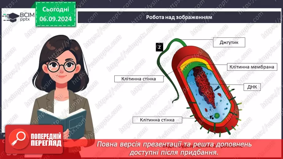 №08 - Типи організації клітин: прокаріотичні та еукаріотичні клітини.7