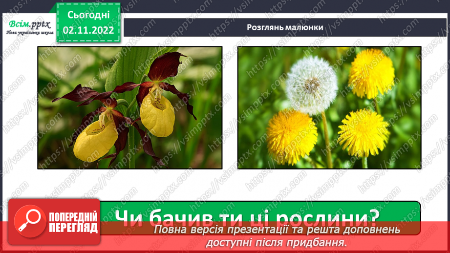 №0036 - Червона книга України. Рідкісні рослини.6