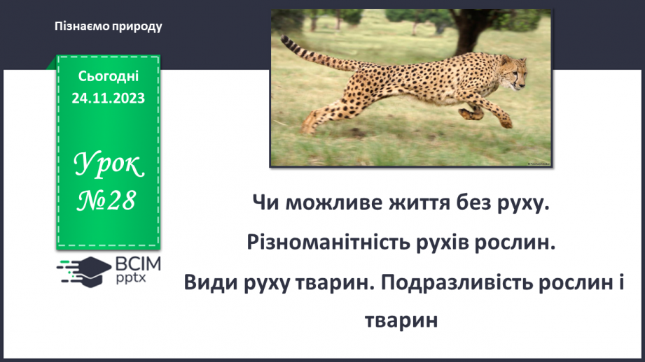 №28 - Чи можливе життя без руху. Різноманітність рухів рослин. Види руху тварин.0