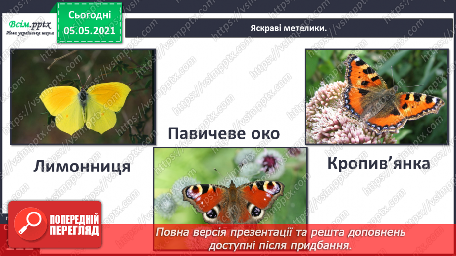 №096 - Ясніє в кожній квітці дивина.8 №096 - Ясніє в кожній квітці дивина.8