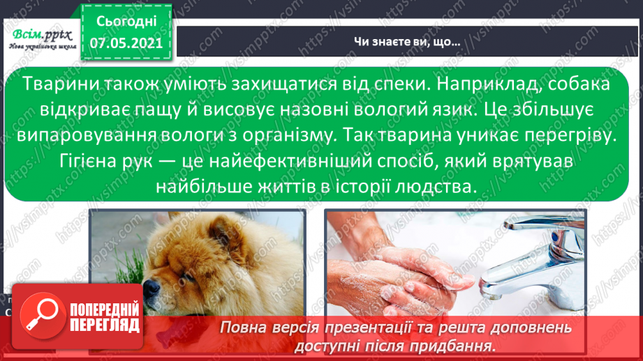 №050 - Яка роль шкіри в організмі людини21 №050 - Яка роль шкіри в організмі людини21