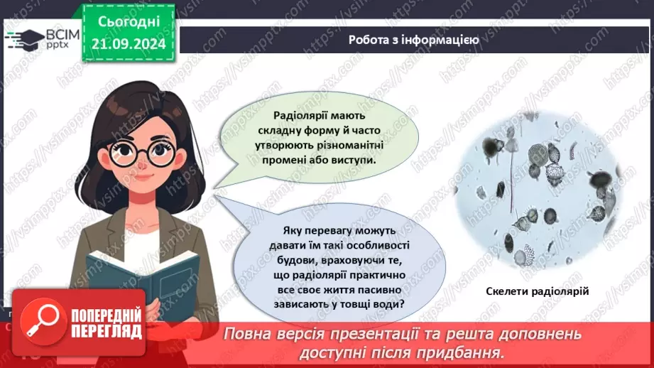 №13 - Особливості будови одноклітинних еукаріотів.5 №13 - Особливості будови одноклітинних еукаріотів.5