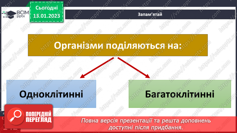 №38 - Організми та їх властивості. Методи дослідження організмів. Висівання і пророщування квасолі.17