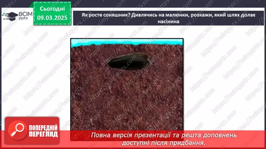 №076 - Як росте і розвивається рослина з насінини. ст.67-6922