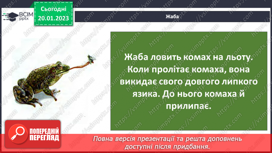 №39-40 - Як живляться та дихають тварини. Корм для тварин та способи його добування.21