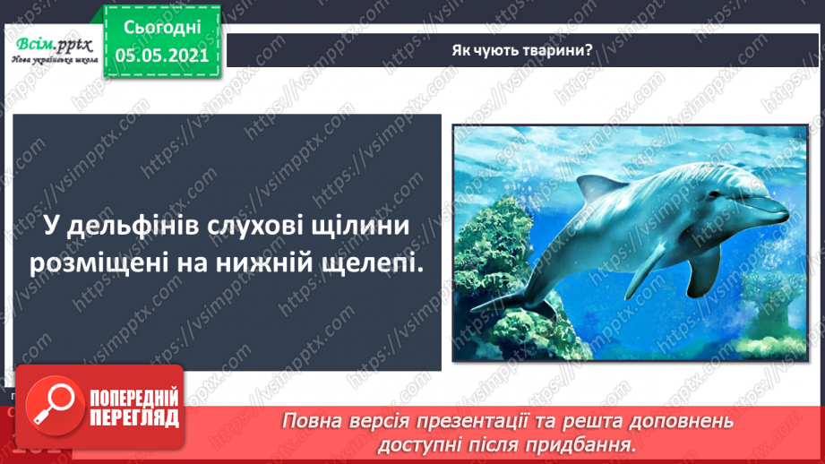 №082 - Орган слуху.20 №082 - Орган слуху.20