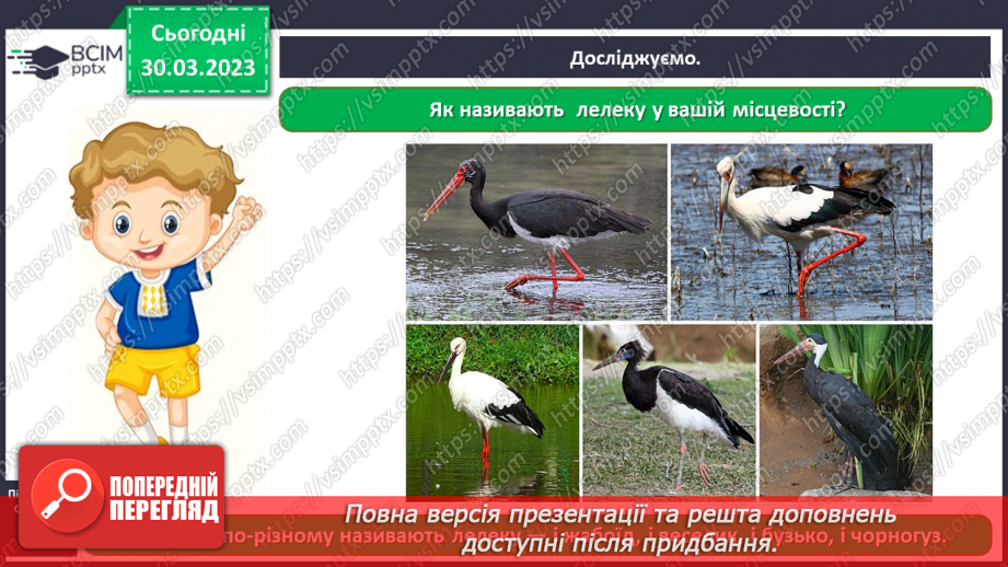 №0088 - Тварини рідного краю15 №0088 - Тварини рідного краю15