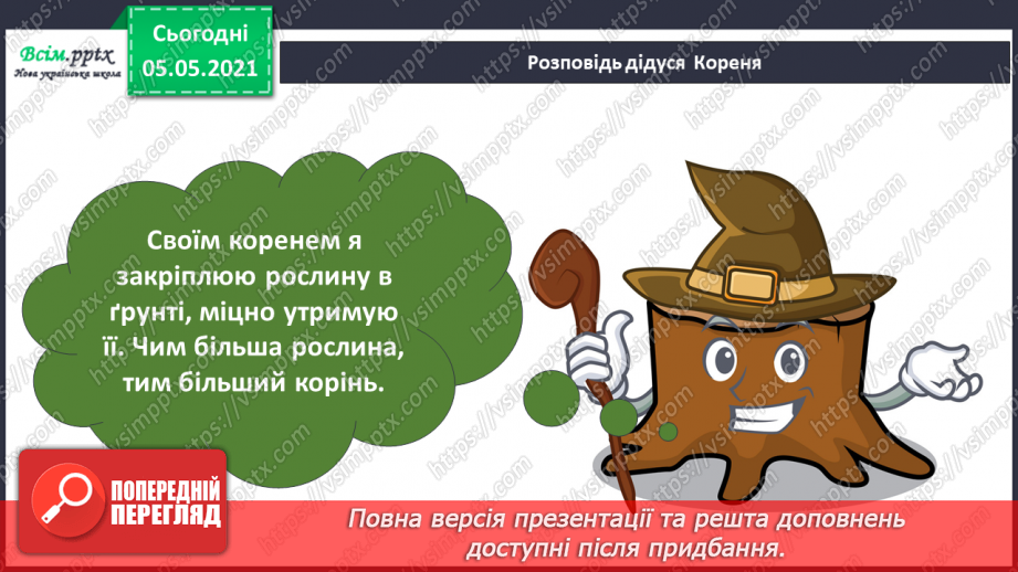 №030 - Рослини. Будова рослин26 №030 - Рослини. Будова рослин26