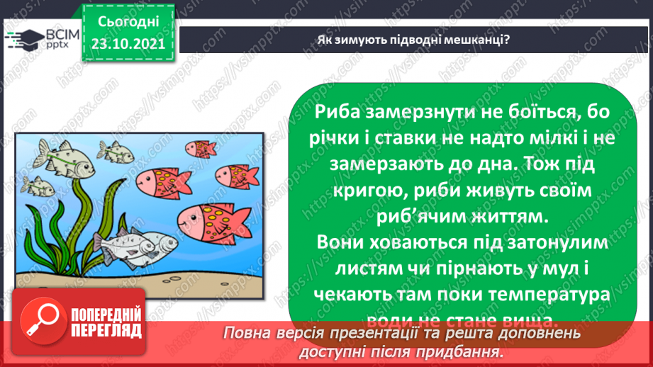 №030 - Як територія може стати домівкою? Комікс: «Як зимують комахи?»22 №030 - Як територія може стати домівкою? Комікс: «Як зимують комахи?»22