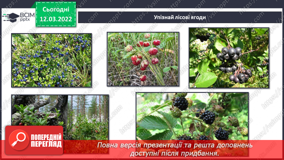 №073 - Навіщо нам ліси?. Досліджуємо разом. Куди ростуть рослини?11 №073 - Навіщо нам ліси?. Досліджуємо разом. Куди ростуть рослини?11