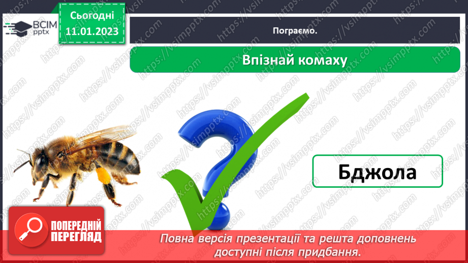 №0055 - Комахи18 №0055 - Комахи18