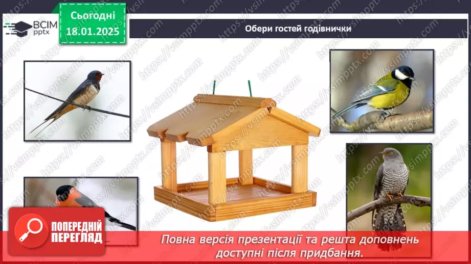 №0055 - Як зимують птахи та звірі22 №0055 - Як зимують птахи та звірі22