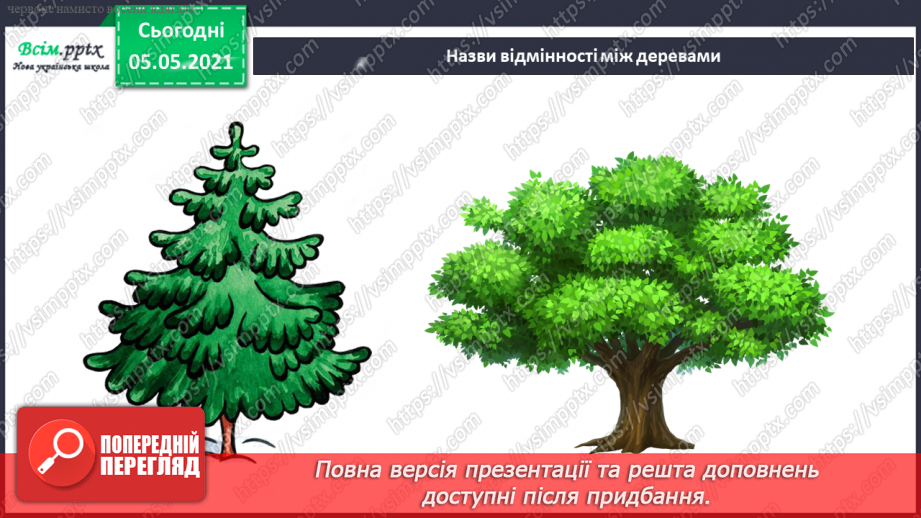 №035 - Хвойні рослини.5 №035 - Хвойні рослини.5