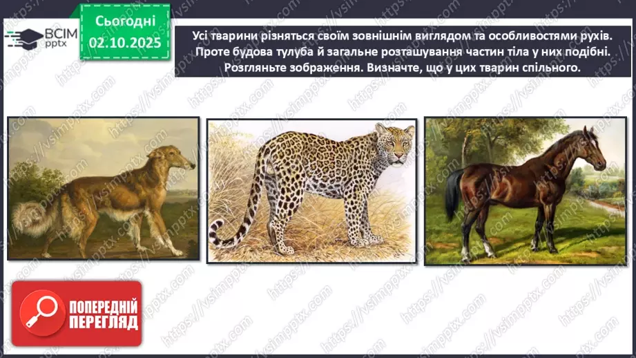 №07 - Основні поняття: замальовки, лінії (графічні матеріали на вибір) СМ: М. Степанов «Такса», С. М’юр «Пес», А. Дюрер «Лев»17 №07 - Основні поняття: замальовки, лінії (графічні матеріали на вибір) СМ: М. Степанов «Такса», С. М’юр «Пес», А. Дюрер «Лев»17