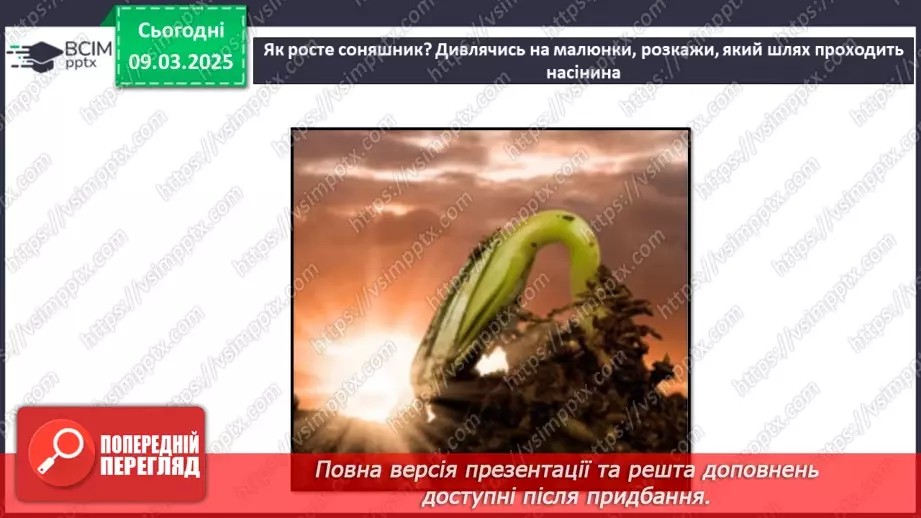№076 - Як росте і розвивається рослина з насінини. ст.67-6925