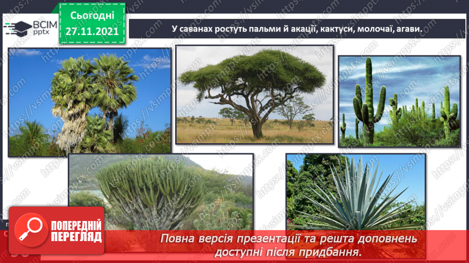 №042 - Материки Землі. Особливості природи материків33 №042 - Материки Землі. Особливості природи материків33