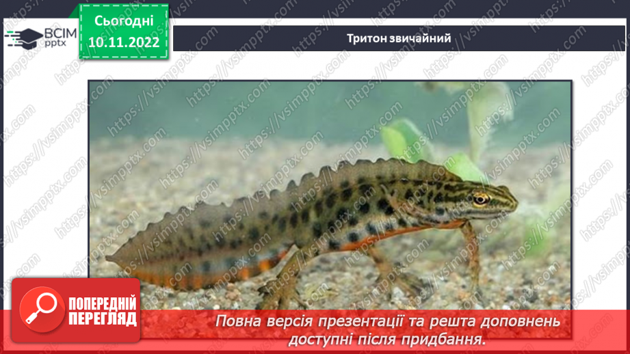 №038 - Риби, земноводні та плазуни.12 №038 - Риби, земноводні та плазуни.12