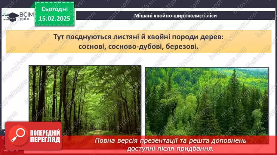 №46 - Природні зони Північної Америки. Арктичні пустелі. Тундра. Ліси помірного поясу.17