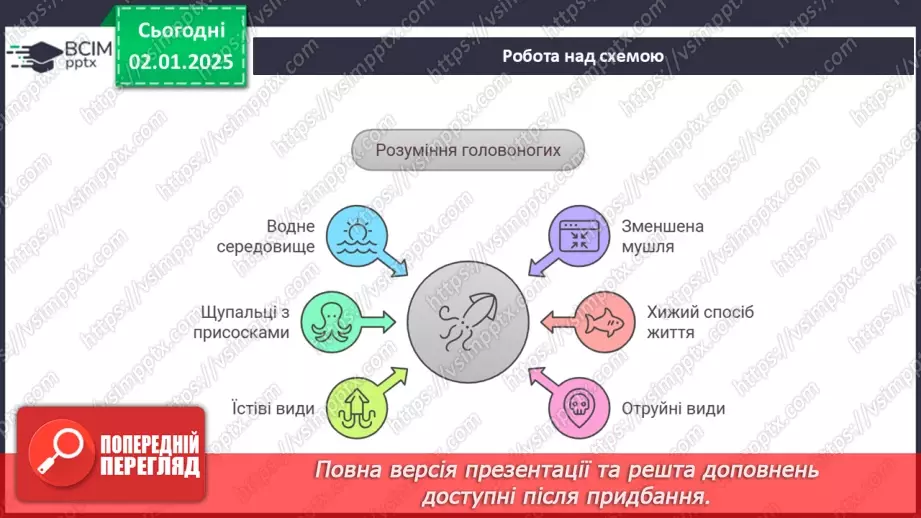 №52 - Молюски.21 №52 - Молюски.21