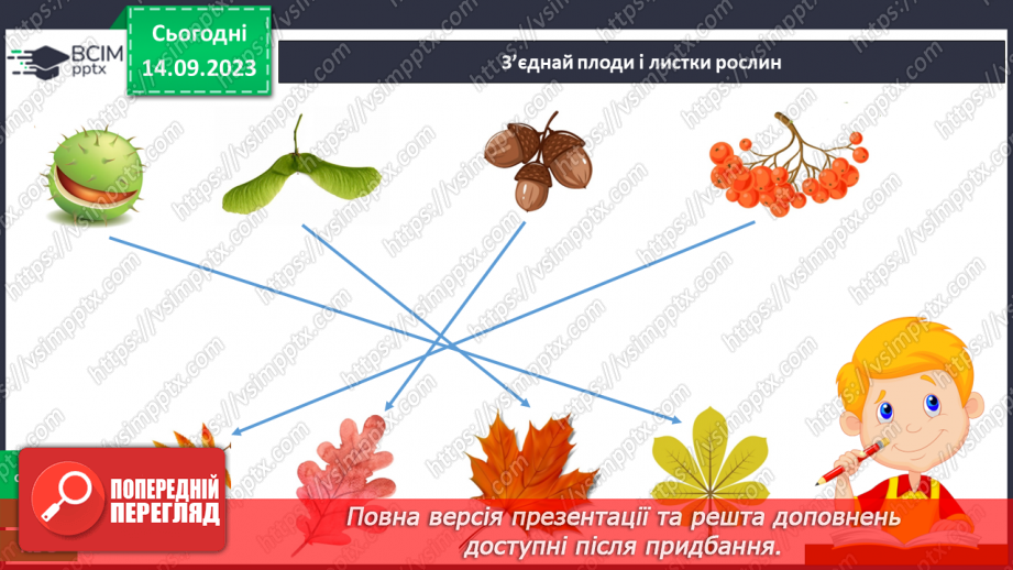 №010 - Рослини восени. Спостереження за особливостями сезонних змін у природі.25