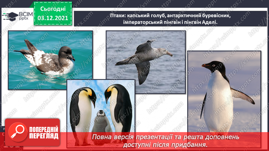 №043 - Материки Землі. Особливості природи материків30 №043 - Материки Землі. Особливості природи материків30