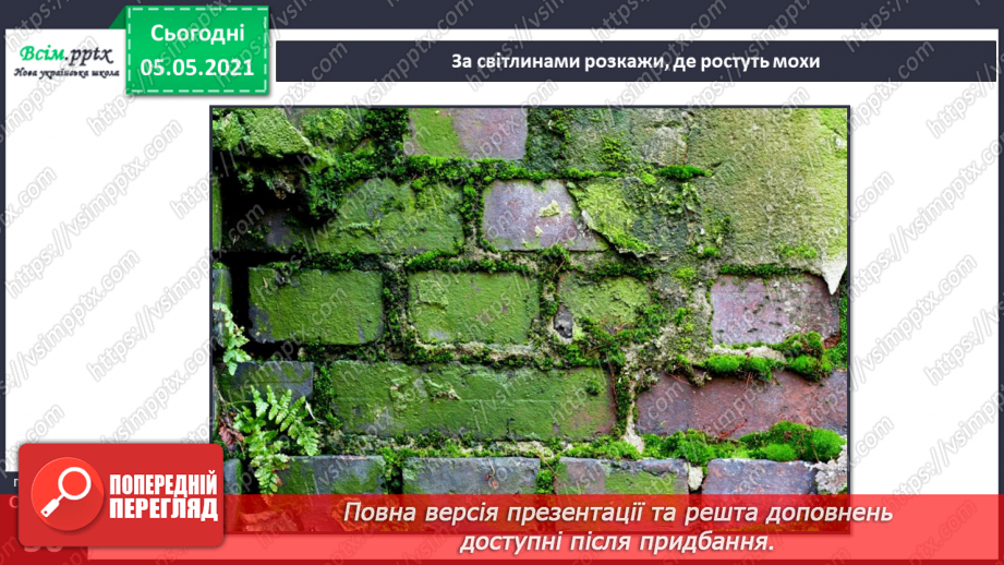 №033 - Мохи.15 №033 - Мохи.15